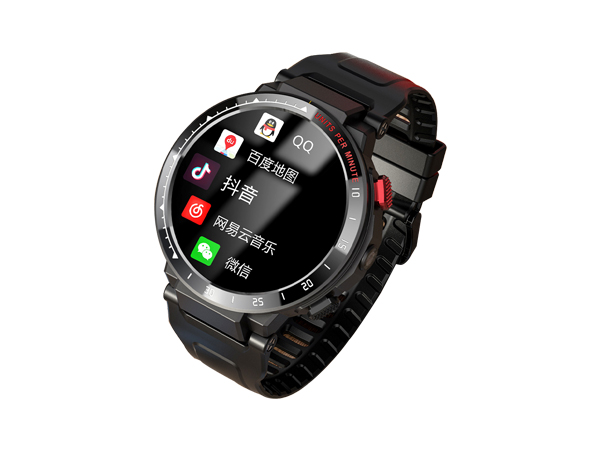 4G wearable watch